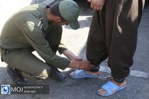 دستگیری سارقان خودر‌وهای خاص توسط پلیس پایتخت