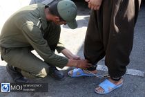 دستگیری سارقان خودر‌وهای خاص توسط پلیس پایتخت