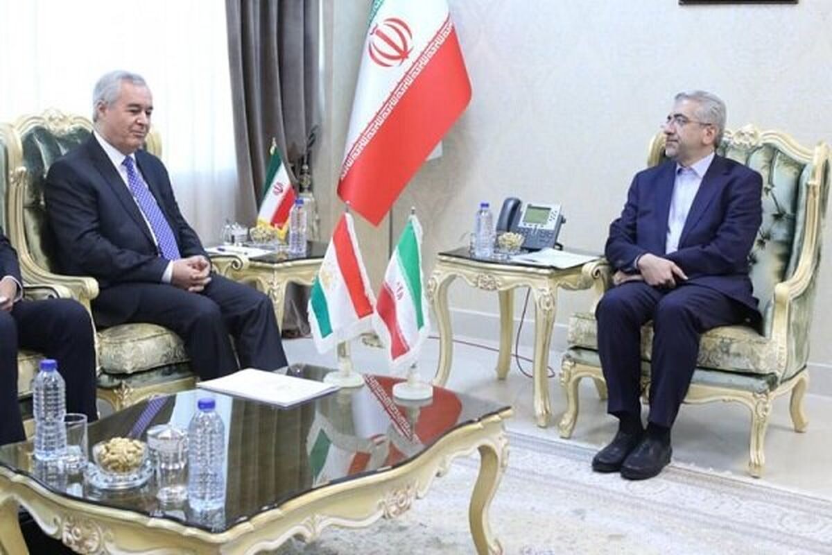 دیدار وزیر نیرو با سفیر تاجیکستان