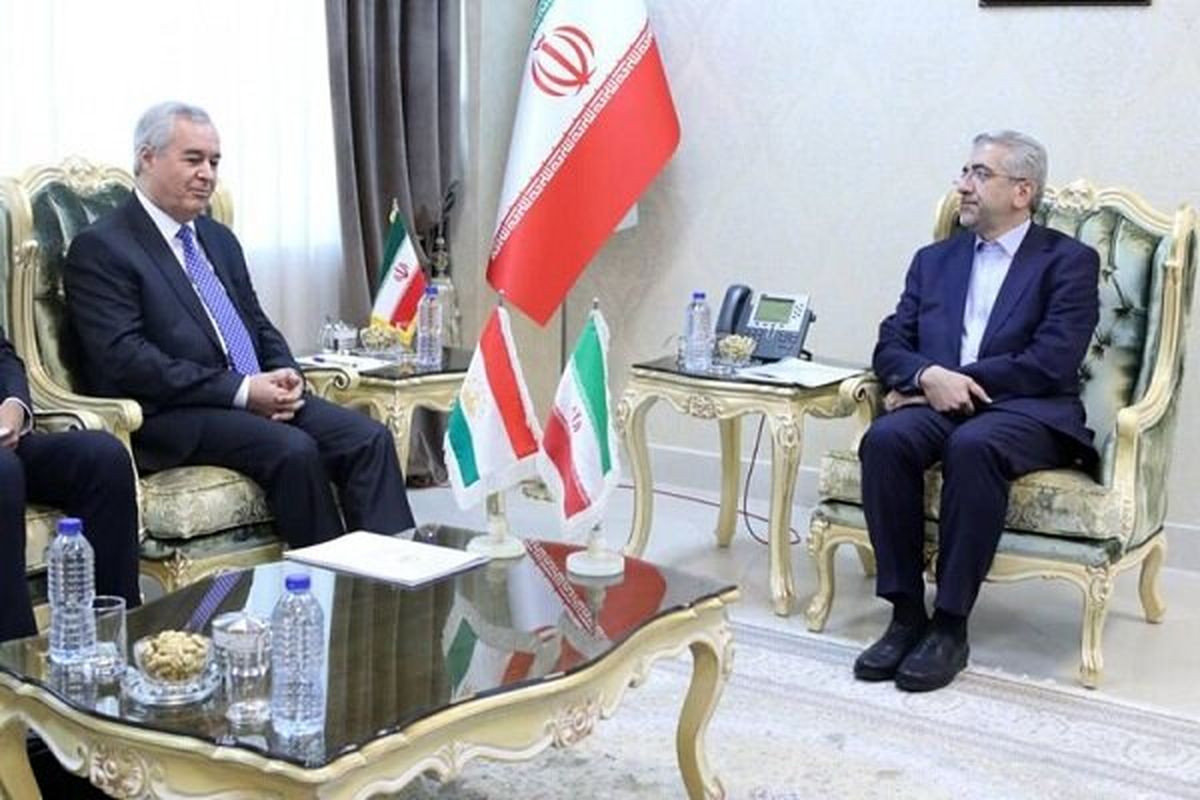 دیدار وزیر نیرو با سفیر تاجیکستان