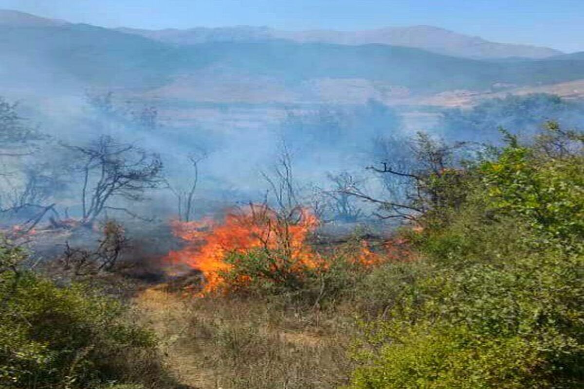 آتش سوزی جنگل کجور 1401