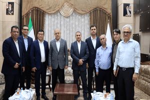 هرمزگان آماده جذب سرمایه‌گذاری چین در حوزه انرژی خورشیدی