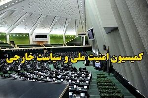 کمیسیون امنیت ملی، تعرض به رهبر انقلاب را اعلام جنگ به دنیای اسلام دانست