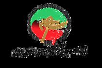 مجید نیری سرپرست دبیری فدراسیون تکواندو شد