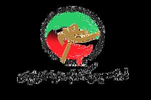 مجید نیری سرپرست دبیری فدراسیون تکواندو شد