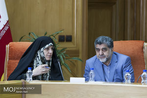 جلسه شورای اجتماعی کشور