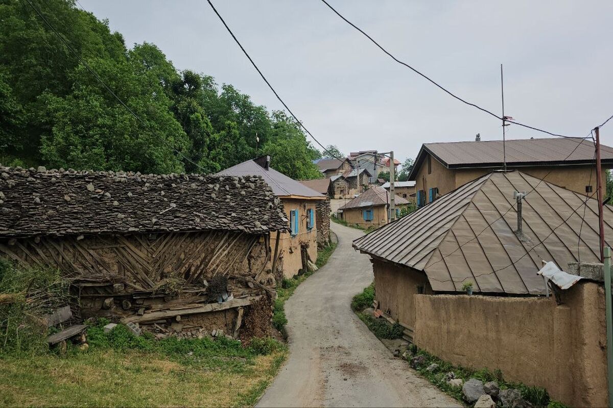 روستای شانه‌تراش