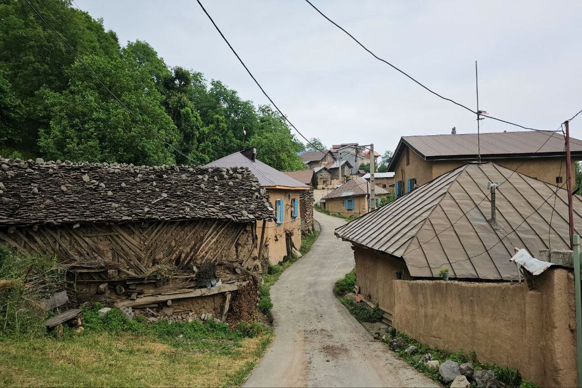 روستای شانه‌تراش