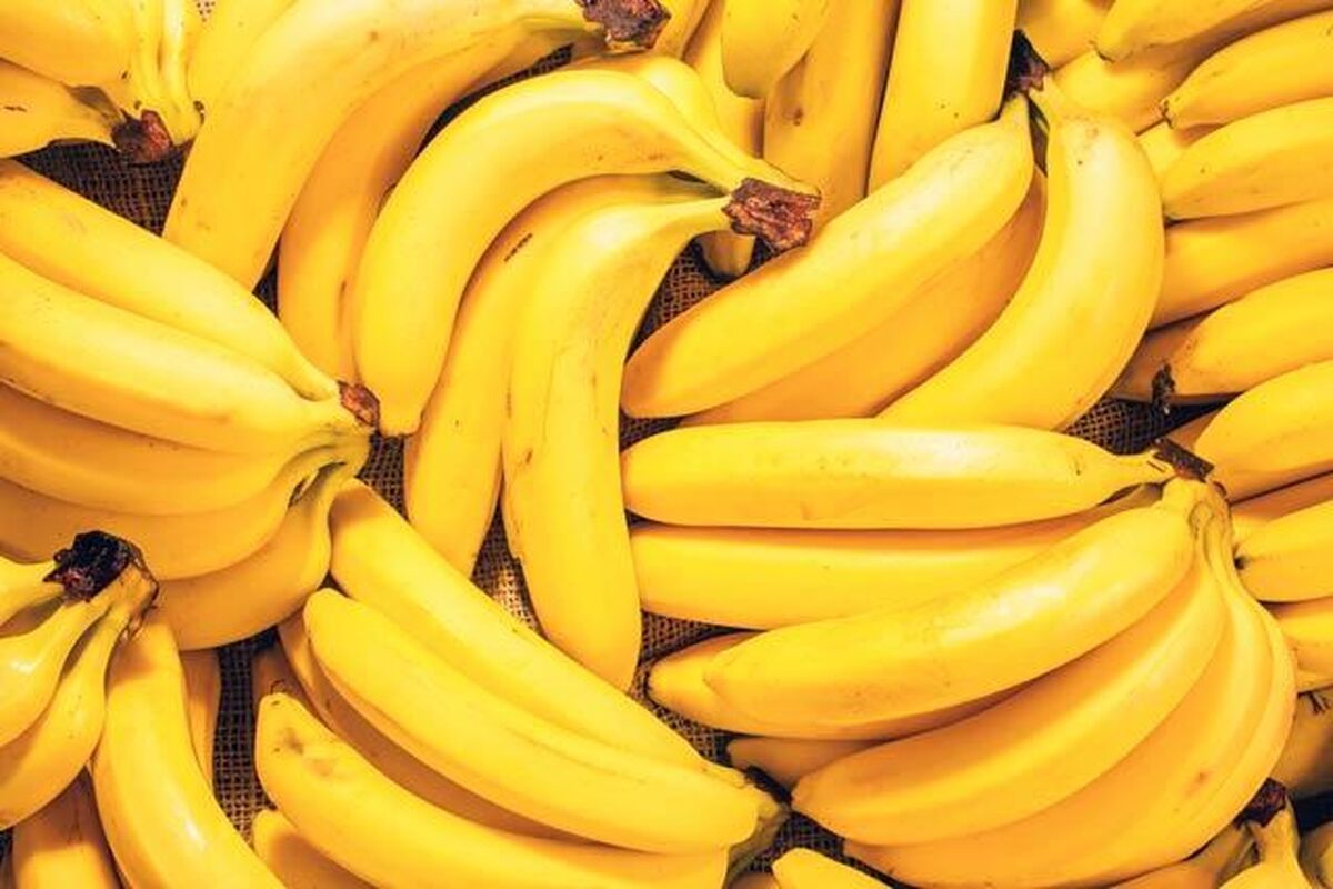 موز