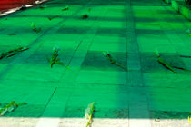 قبور شهدای انقلاب در قم ساماندهی می شود