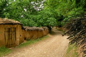 تخریب باغات قصردشت خط قرمز مدیریت شهری شیراز است