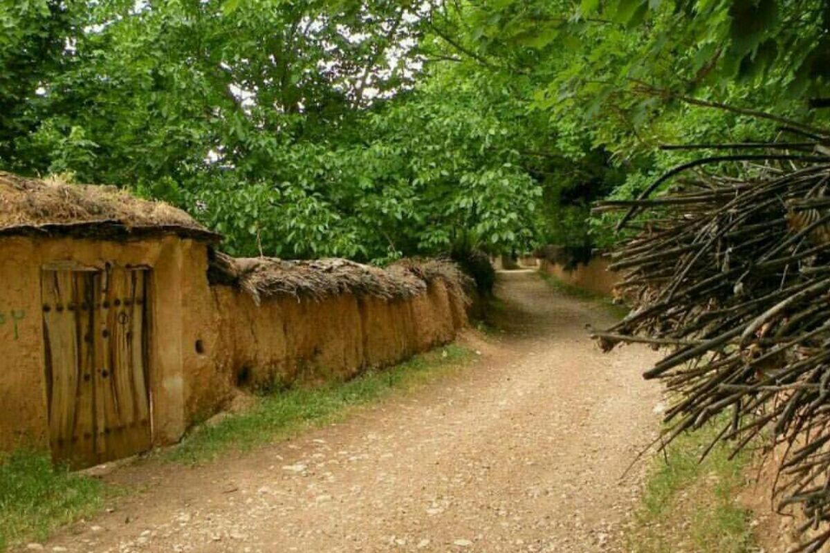 باغات قصردشت شیراز 