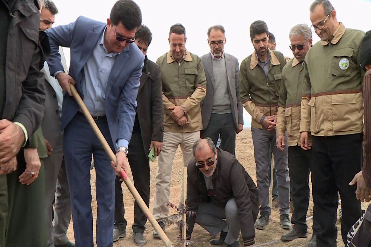 منطقه آزاد ماکو