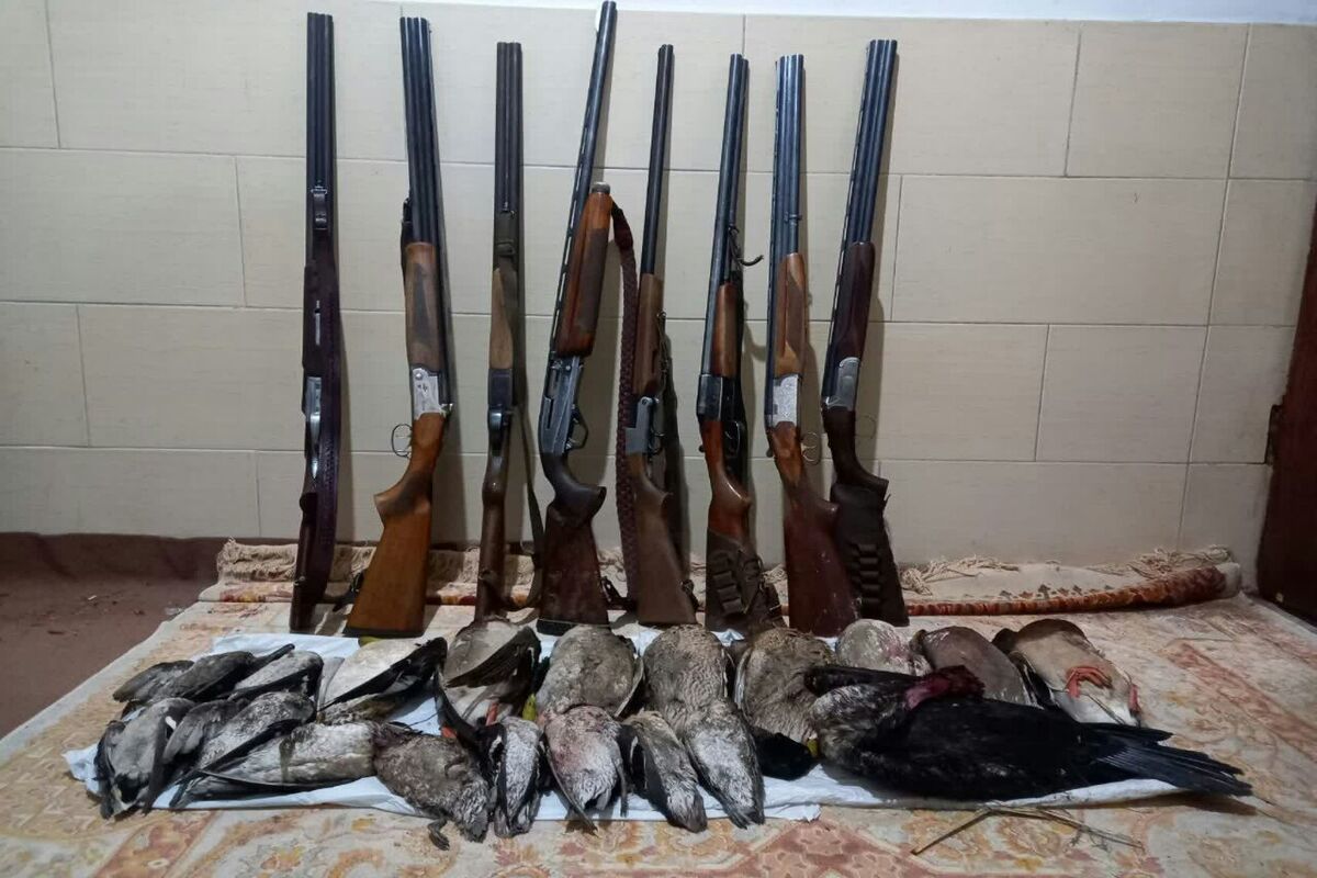 محیط زیست مازندران