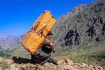  تمام کولبرها به‌دنبال اشتغال هستند/ برکت به زندگی کولبران برگشت