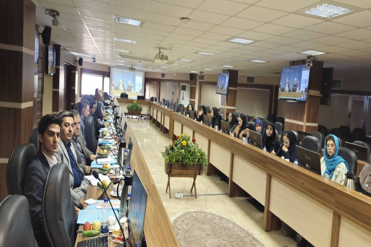 محیط زیست 