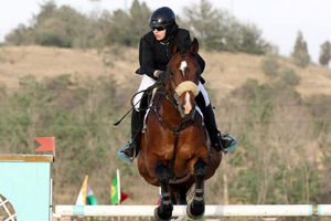 افتتاح واحد صنعتی ۳۰ رأسی پرورش اسب سوارکاری شهرستان اسدآباد