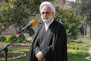 دستان متصرفان به حریم جنگل‌ها و محیط زیست را با اجرای قانون قطع می‌کنیم