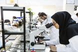سرمایه‌گذاری در پژوهش، سرمایه‌گذاری برای اقتدار ملی است