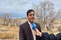 پاکسازی ۲هزارو ۷۵۰ هکتار از جنگل‌های ایلام از آفت لورانتوس