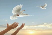 آزادی 10  زندانی جرایم غیر عمد همزمان با دهه ولایت در اصفهان