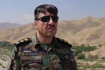 واکنش سازمان محیط زیست به قتل محیط بان نجفی/ تمام تلاشمان را برای جلب رضایت کردیم