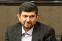 تا دو هفته آینده از التهابات بازار خودرو کاسته می ‌شود
