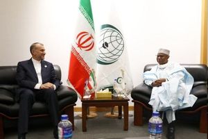  وزیر امور خارجه به دبیرکل سازمان همکاری اسلامی پیشنهاد داد