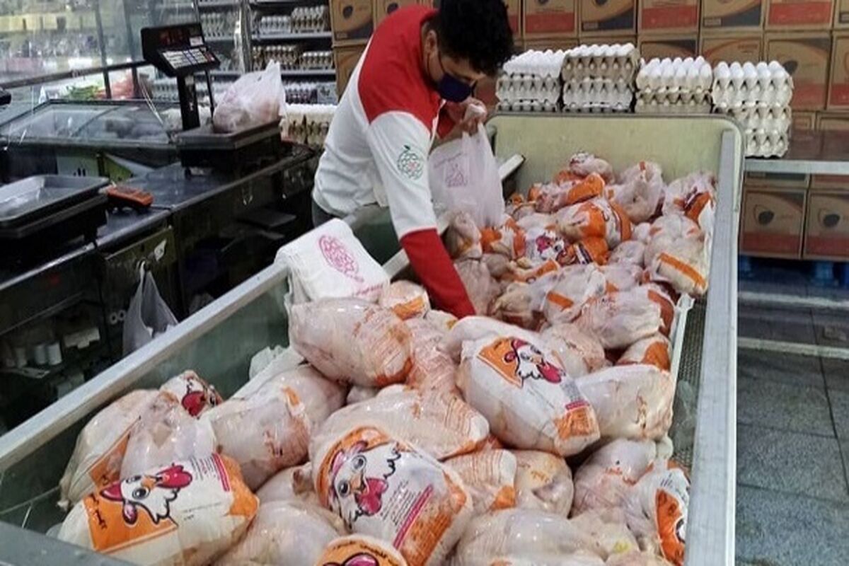 مرغ جهاد