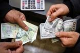 محکومیت ۱۰۶ میلیاردی مدیرعامل یک شرکت بازرگانی توسط تعزیرات فارس