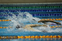 آغاز دور نخست مسابقات قهرمانی شنای باشگاه‌های کشور از فردا