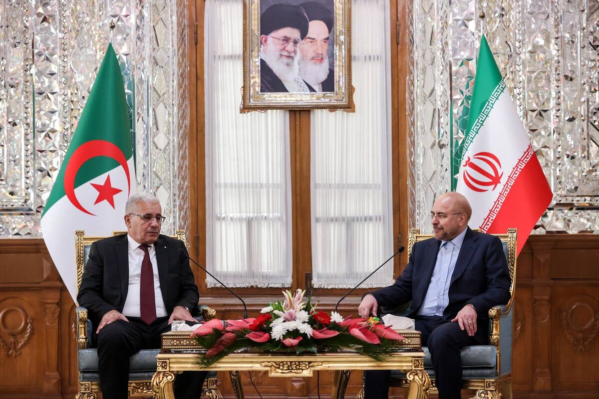 قالیباف و بوغالی 