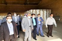 تولید ۴۰۰ هزار تن دانه‌های روغنی در سال جاری/افتتاح نمایندگی اداره غله شهرستان نهاوند