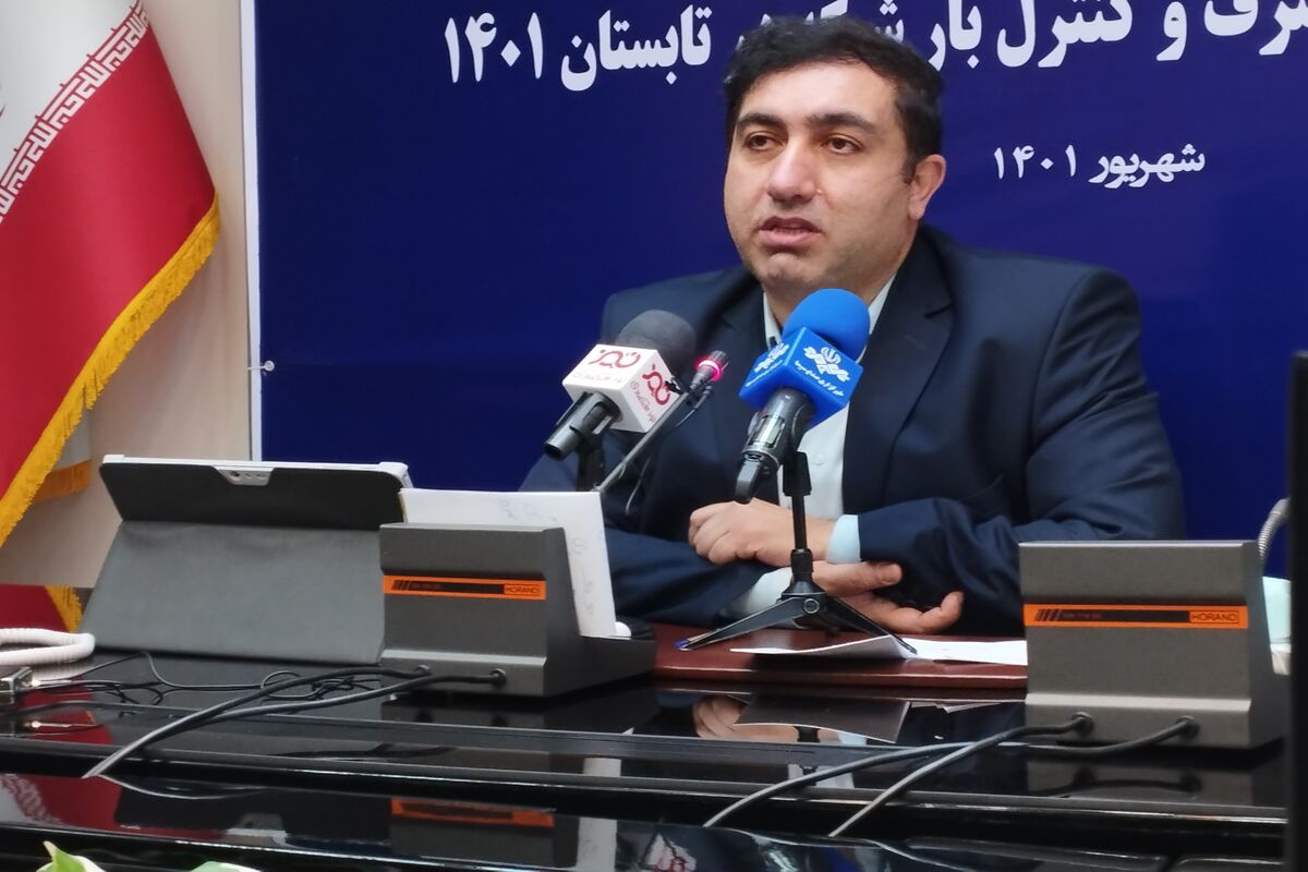 آرش کردی