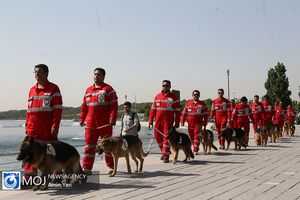 اعزام سگ‌های جستجو و نجات به نقاطی که اسرائیل هدف قرار داد