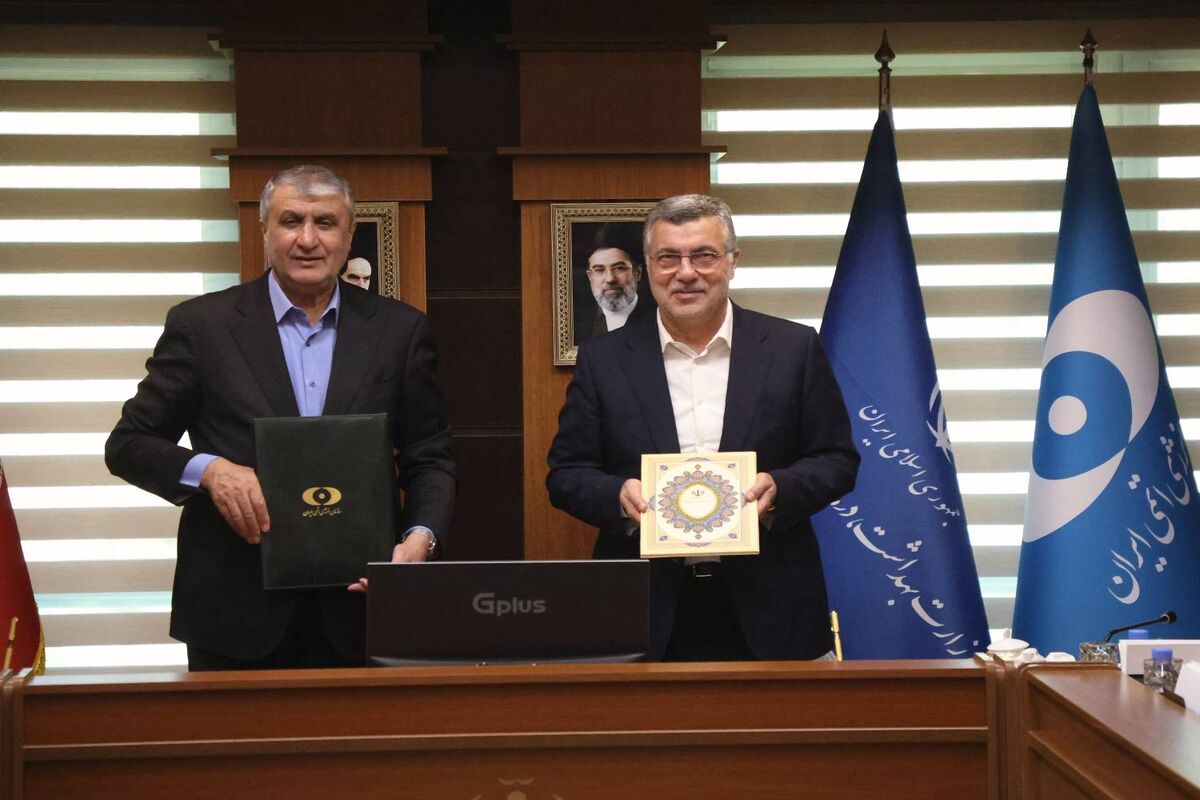 سازمان انرژی اتمی