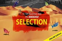 ۹ فیلم ایرانی به جشنواره جهانی فیلم MikroFAF صربستان راه یافتند