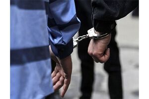 ۲۲۵ متهم در عملیات ضربتی ۷۲ ساعته دستگیر شدند