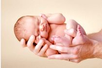 سال گذشته روند افزایشی فرزندآوری داشته‌ایم