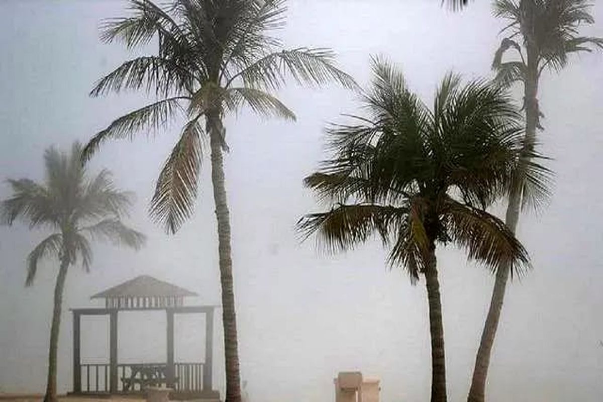 مه رقیق صبحگاهی 