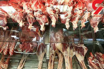 مردم گوشت را از مراکز معتبر و مورد تایید دامپزشکی تهیه کنند