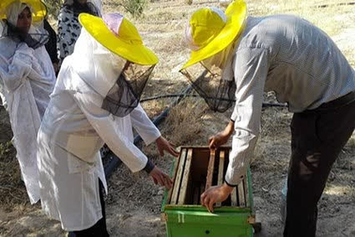 آموزش های مهارتی