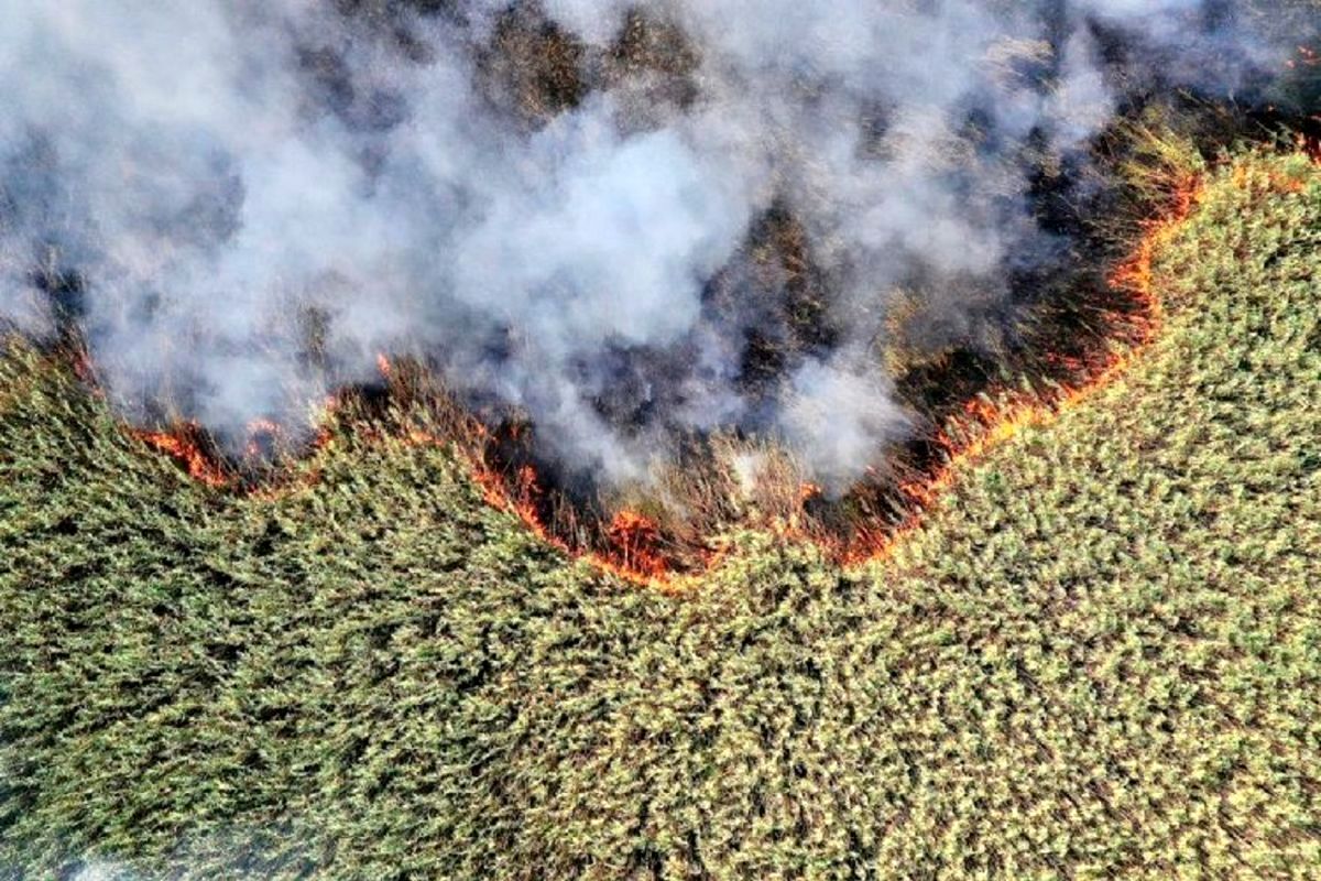 تالاب هورالعظیم 