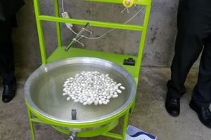 اجرای طرح پایلوت زنجیره ارزش ابریشم در سوادکوه‌شمالی