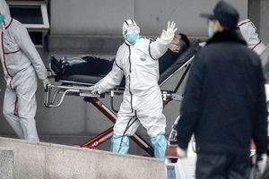 Canada confirmed first case of corona virus in Toronto