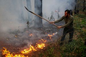 بررسی احتمال عمدی بودن آتش‌سوزی‌های مازندران / گزارشی از عمدی بودن تاکنون تأیید نشده است