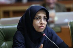 سرای محلات از اهداف خود دور شده اند