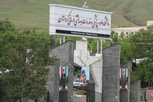 دانشگاه علوم پزشکی تنها عهده دار 30 درصد حوزه سلامت است