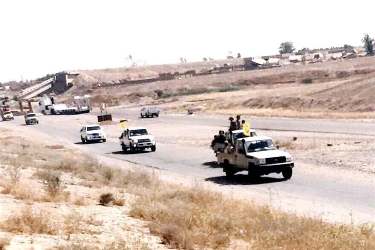 نجبا