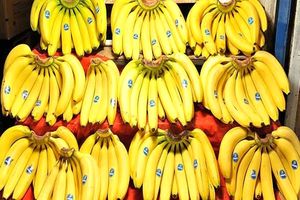 توقف واردات موز تکذیب شد